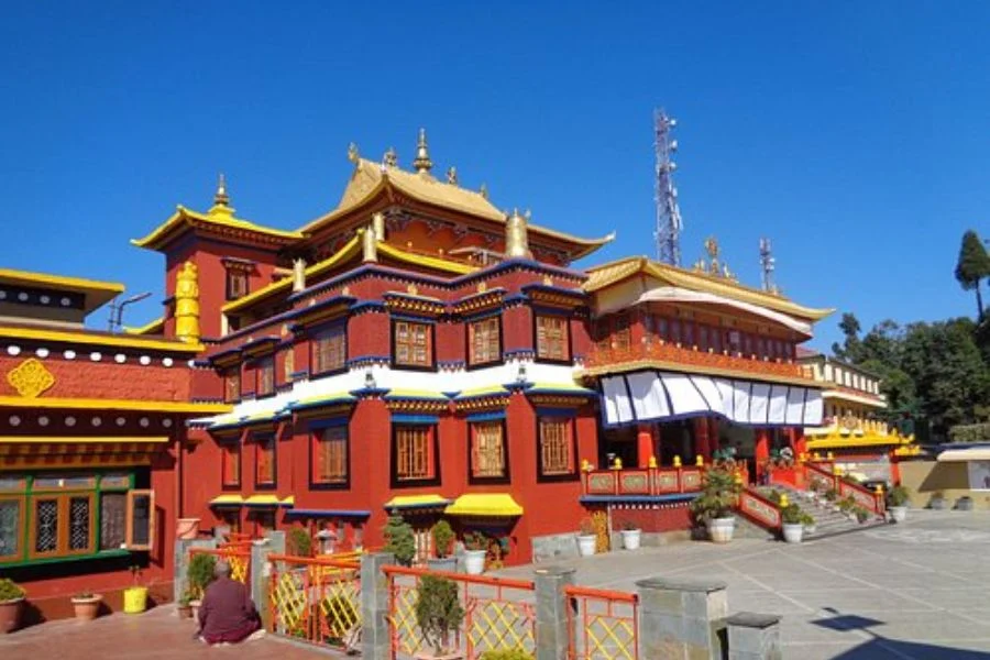 Untitled design (23)