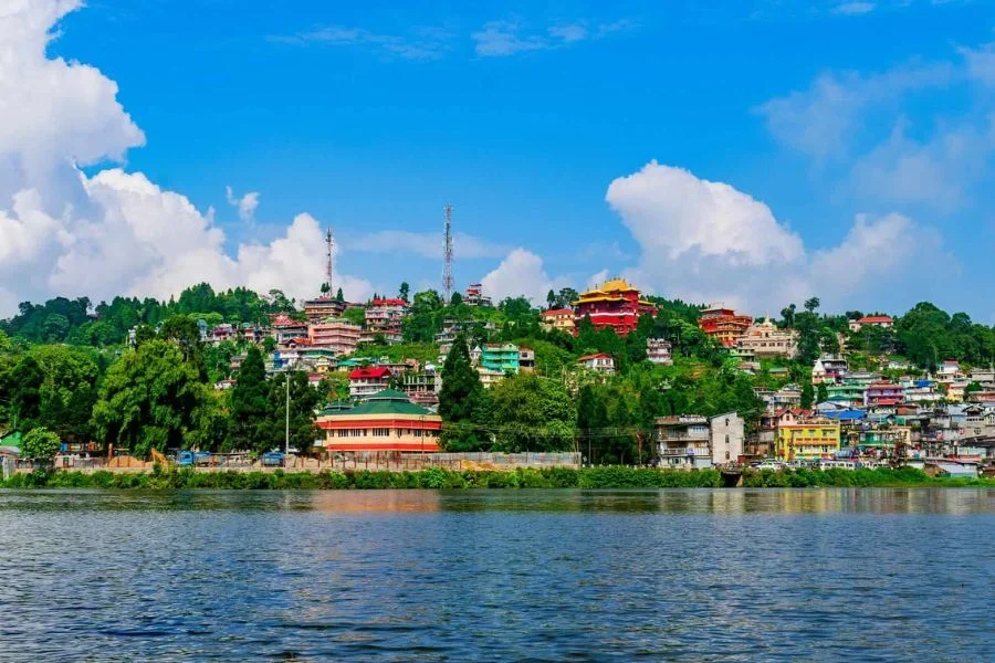 Untitled design (24)