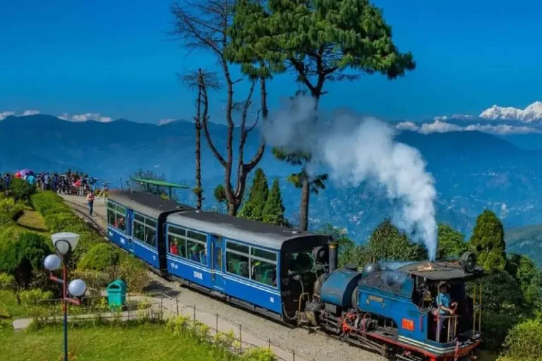 Untitled design (28)