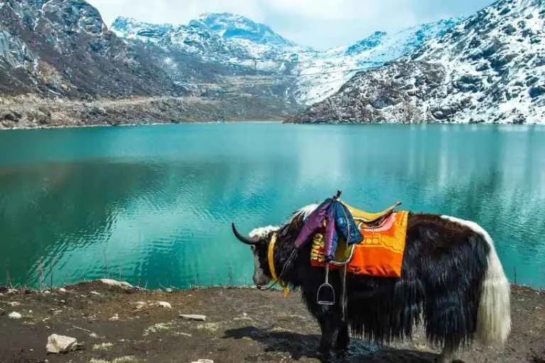 Untitled design (29)_11zon