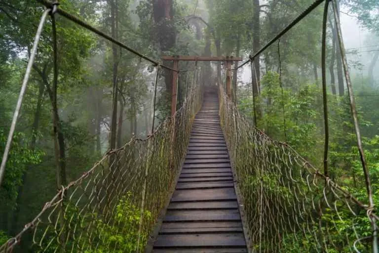 Untitled design (30)_11zon